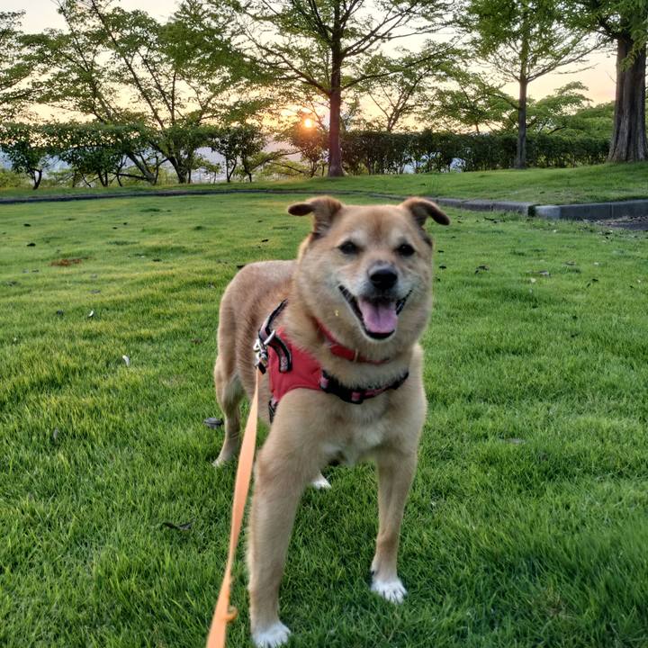 C50e12aa 86a2 4729 87ad adf860aa6354 1754921985937