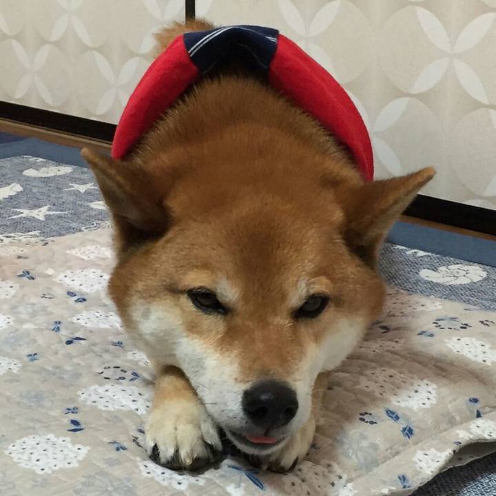 C50e1ad5 b131 411d 886a 5ad1c4873c04 1552730048700