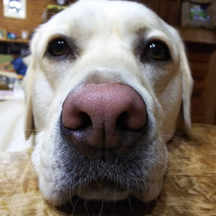 C50e2487 8e48 47e6 a7f8 30a19ee9704f 1526557219533