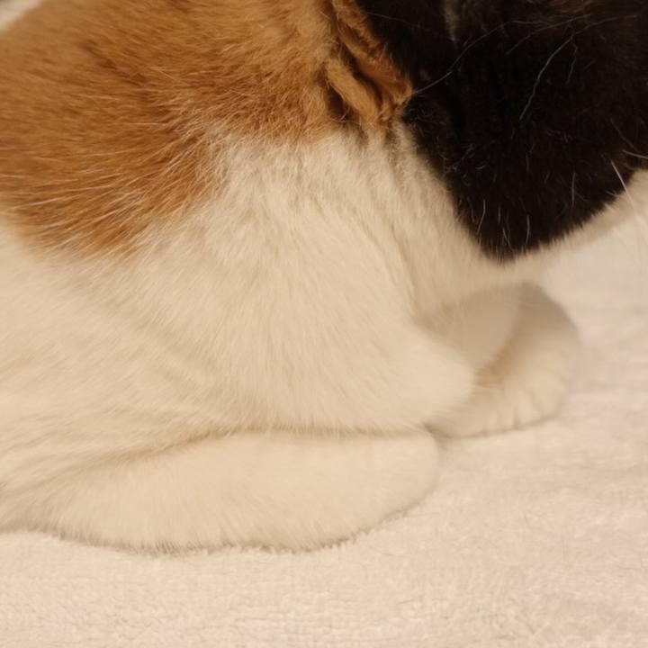 C50e3753 a5aa 437e a9f1 318ea246f4de 1524745157384