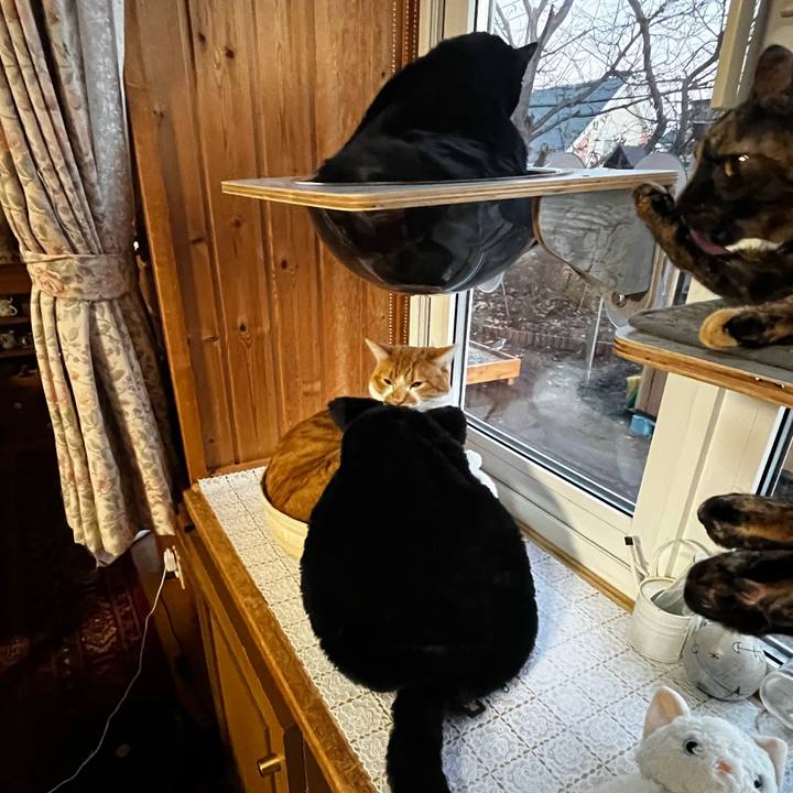 C50e5333 4edf 4916 92be fcc9059e0890 1732183128053