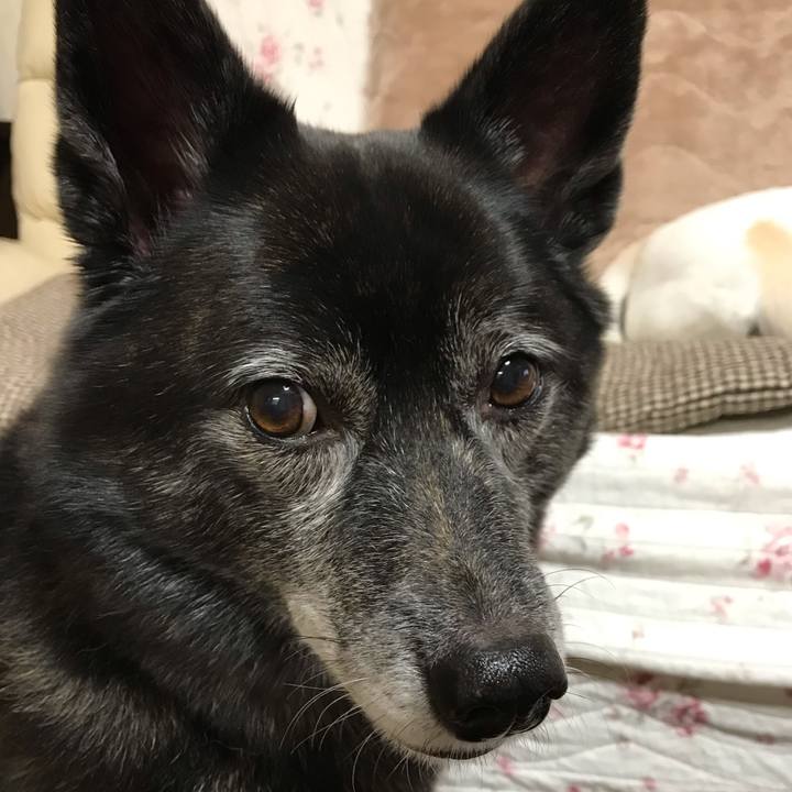 C50e5461 1763 4bc4 a346 fb4269293989 1548249332517