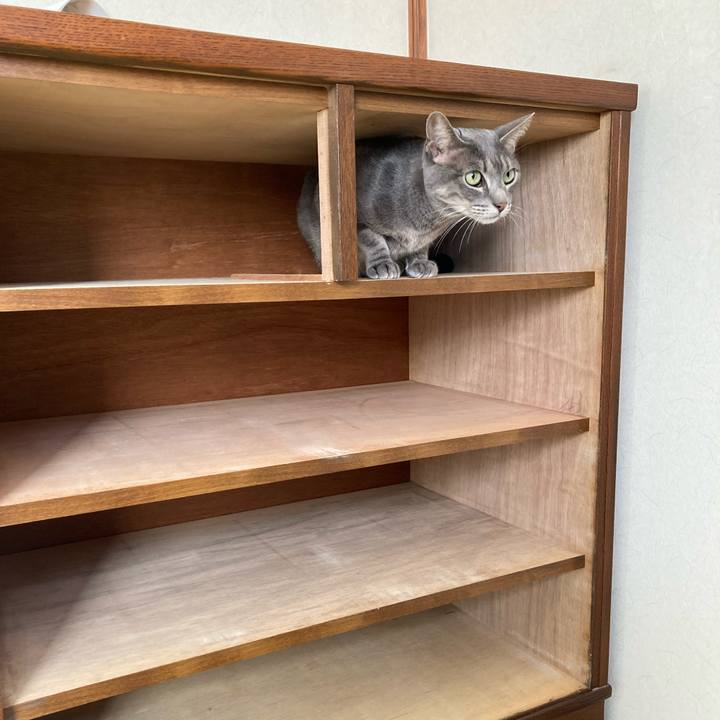 C50e67eb ab35 42d5 bfff a41ce67d56db 1734856984165