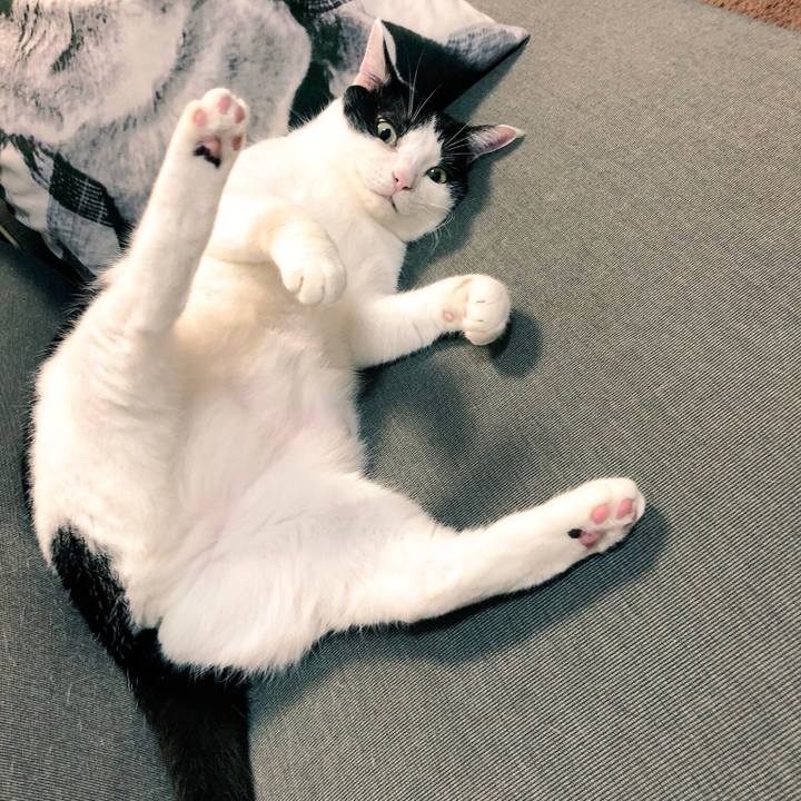 C50eb22d f904 4d33 83cc 7e9118224155 1538103091884