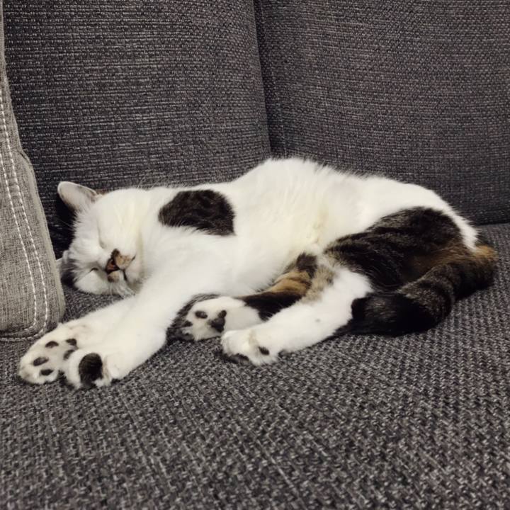 C50eca35 f53d 4d58 a02f 4413510f6eeb 1595126566628