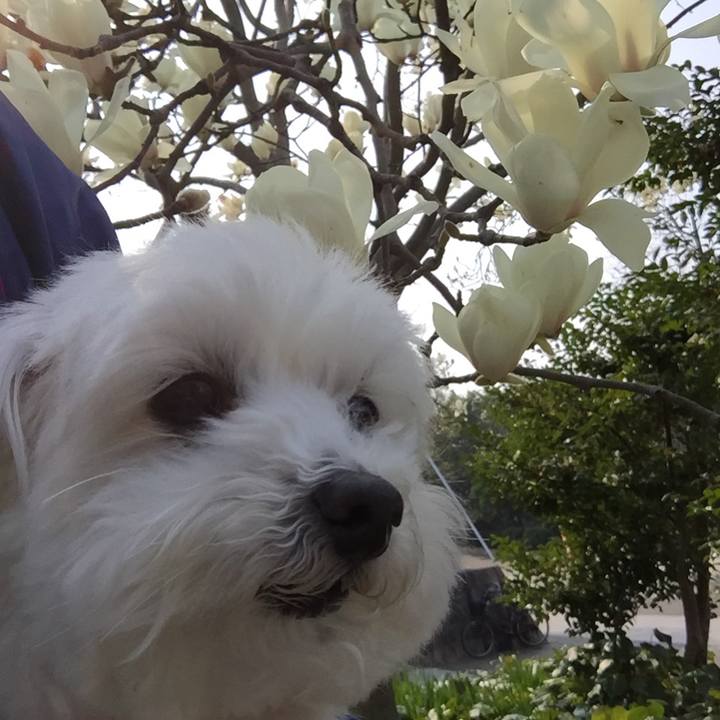 C50edbfe b1df 4f06 a27f 39a7d496fc82 1521939102467