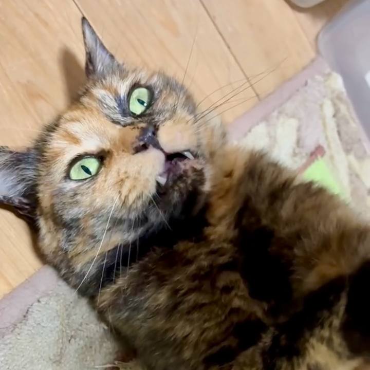 C50ee152 3f7a 4953 8d14 5e9bb4887d1c 1749673079549