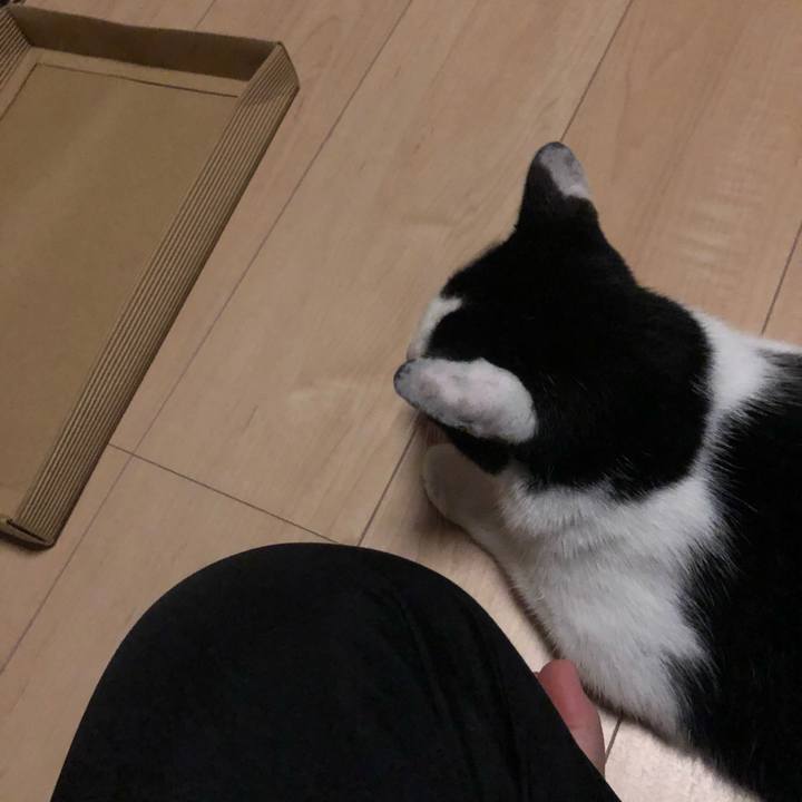 C50ef0e6 66fc 4771 b527 7d6f9e015c34 1594228982573