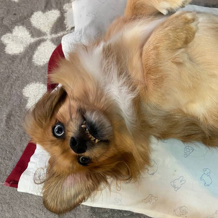 C50efa62 d14a 49d7 9e51 9e69473f6440 1635284634274