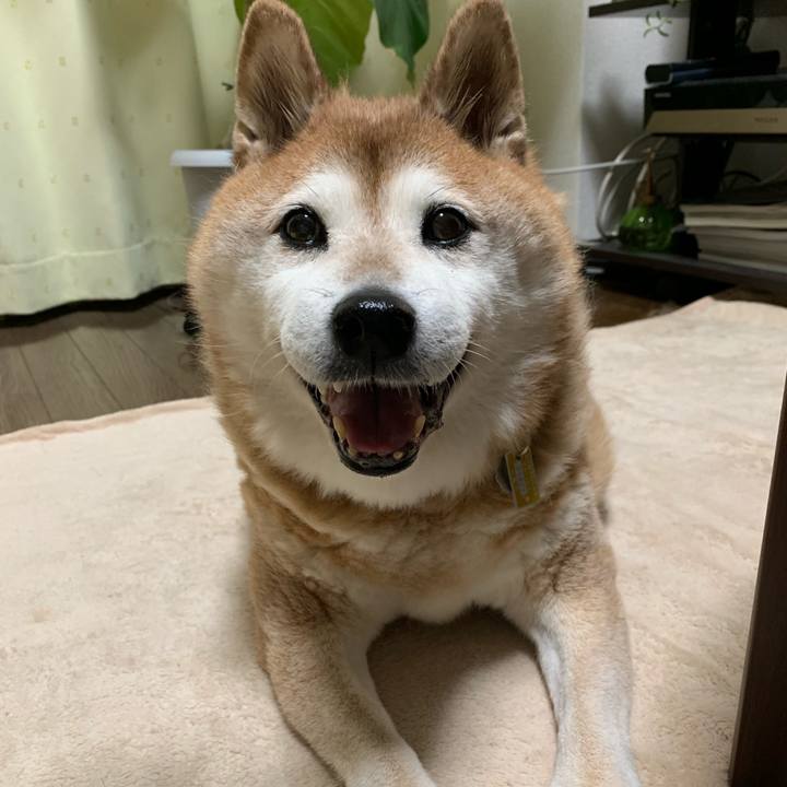 C50f0122 e98f 4aa7 93f5 28bbd4738152 1565086255713