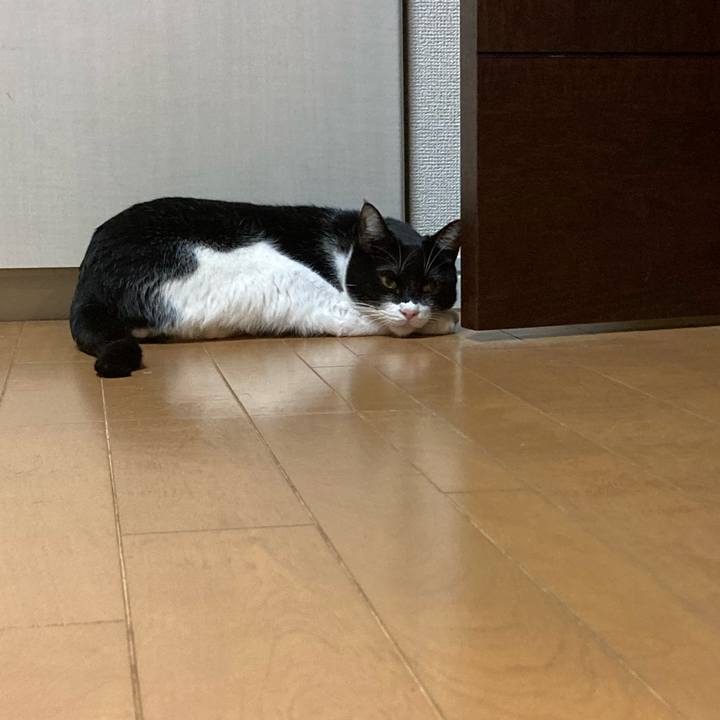 C50f056b 3501 4bb2 9d2c 13f776d895c3 1672026554596