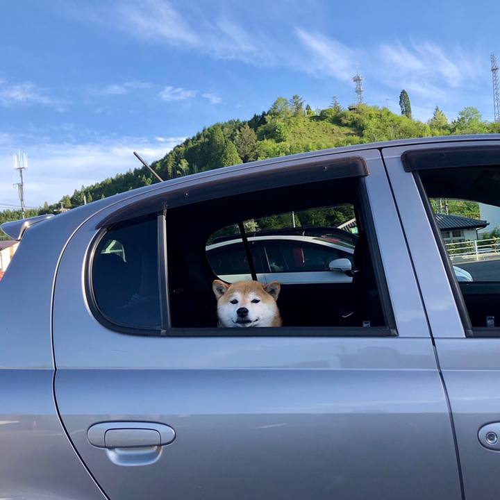 C50f12f7 ab3e 4ad9 b822 2651bdac4978 1558517019185