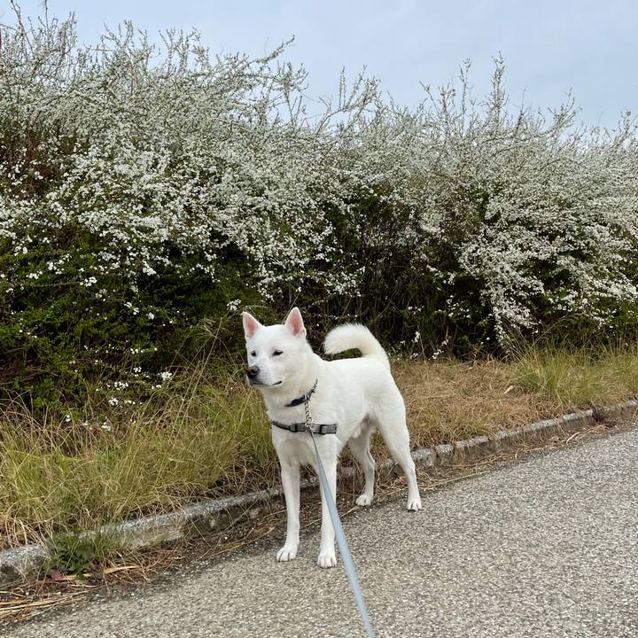 C50f3a86 e9aa 461c b30d ec154d4cb5a3 1614402601761