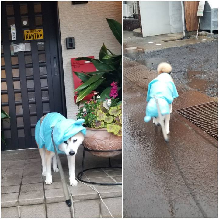 C50f5d8f ff98 4608 bf41 8396085eed15 1764140910609