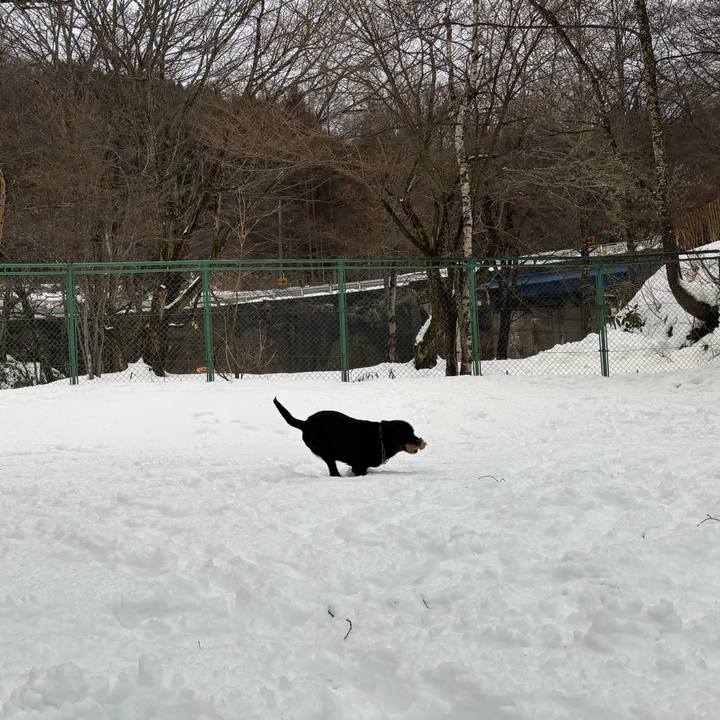 C50f6c70 a67c 4ac4 83c8 5373d3070624 1766315453562