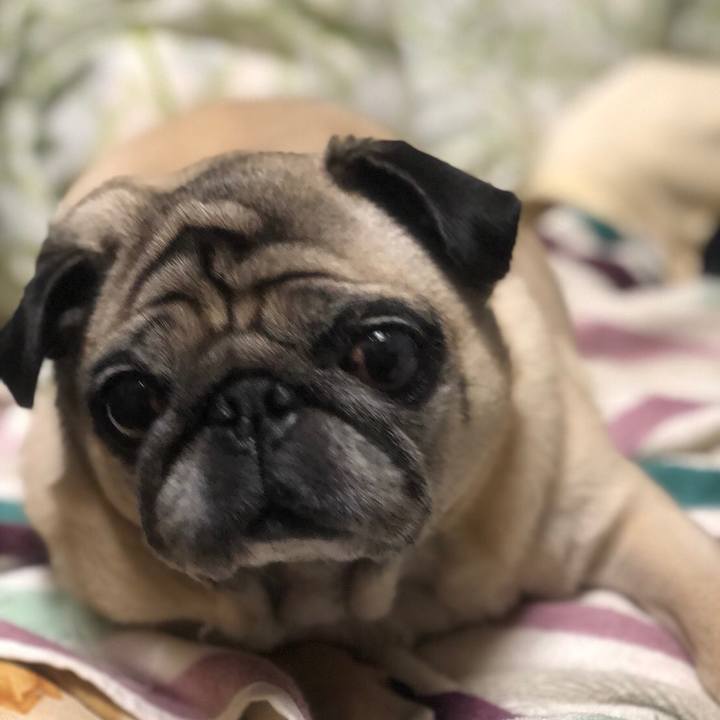 C50f9953 fbc5 4161 a9eb 93a734402a82 1510565372177