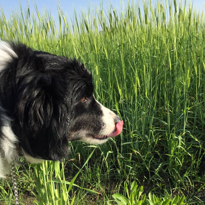 C50f9a03 be2f 4500 bd31 384fb3a7d3eb 1523487347314