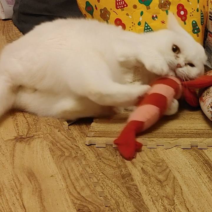 C50fe3cc 3586 42df bd4a 677ea3882887 1624793864761