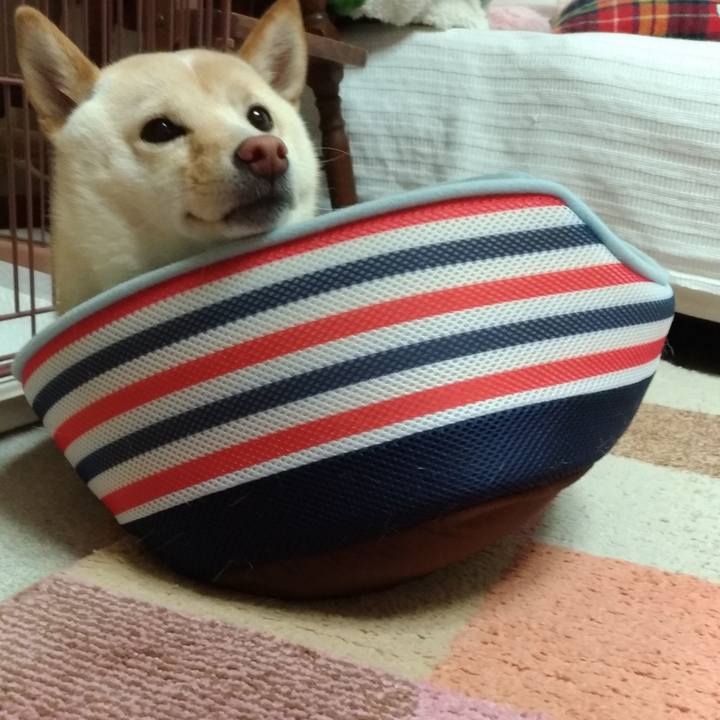 C5100eb0 6b9b 4951 9120 2c90af3f8d89 1525915557978