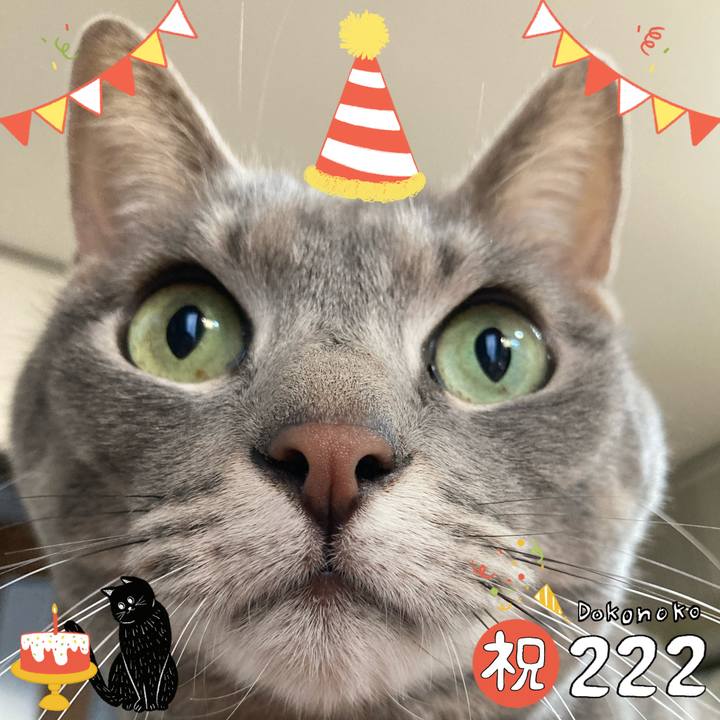 C51013b9 ae57 4f90 99fc 382698c93331 1645533861071