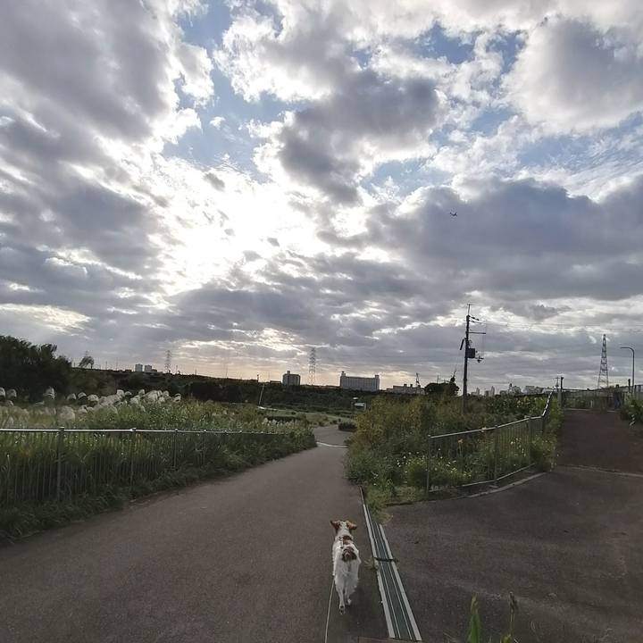 C51021fa 7b93 4628 b8e5 ee73c18540ce 1571820207918