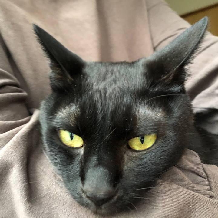 C510445c 0d32 4401 adc2 8eb7bccfdbe7 1684400724422