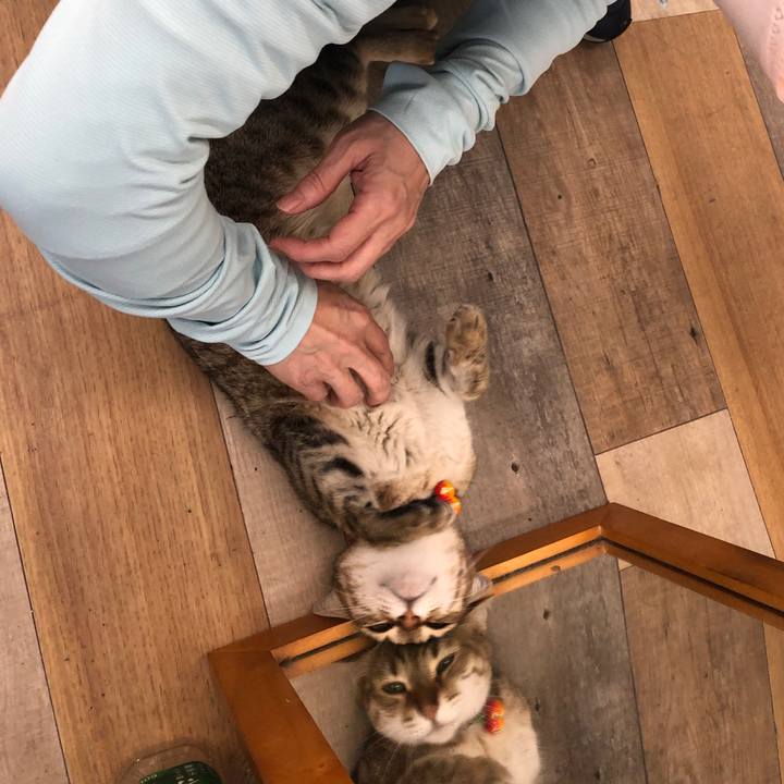 C5104e24 56cb 4d9c 9704 b0b191d38d21 1652433565815