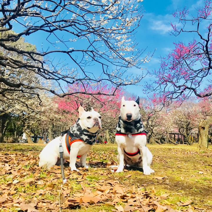 C5106e08 86e0 4a4a 9786 7130e0c78d89 1520074682252