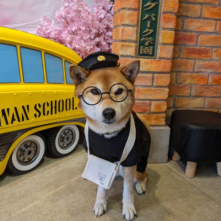 C510767a 9518 4932 8566 58e1a49918c5 1712920461736