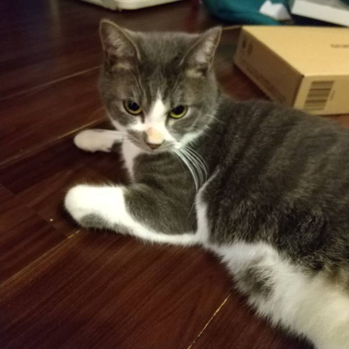 C510a024 e691 4376 aa3a 1b13f9018636 1605734890902