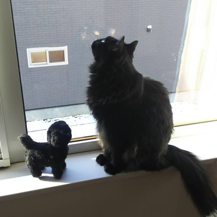 C510ca97 39dc 4299 ac85 a5a20ce3b749 1511051999292