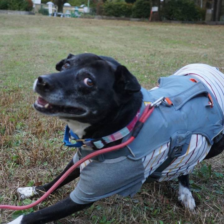 C510d2be d519 460c 8e28 46098fd4bfea 1763166321252