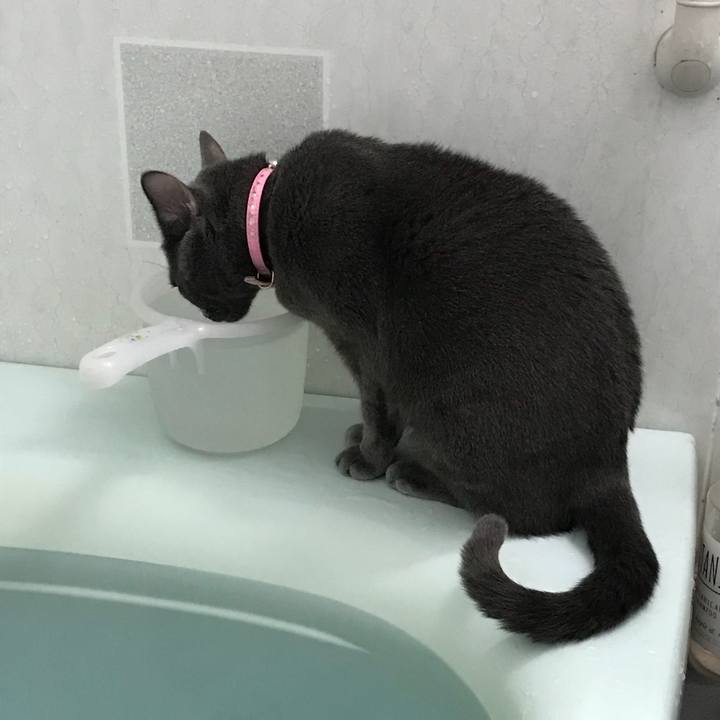 C510d68d 7259 4667 875f 3dfd32c47ccd 1511703313676