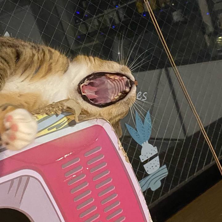 C510d6a1 44c9 4379 84b9 75173533a3c8 1681645117987