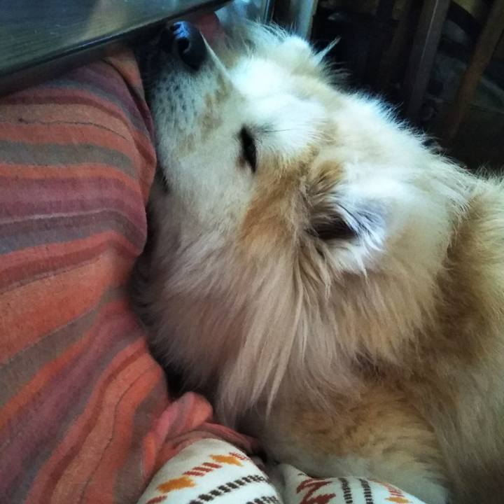 C510d6be 56dc 400e 89c6 9851d31eea6f 1613827035744