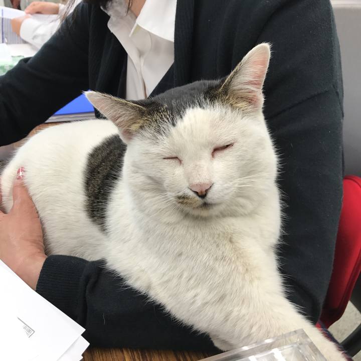 C510eb29 b313 4c35 afeb fcc03d43c773 1547707949473