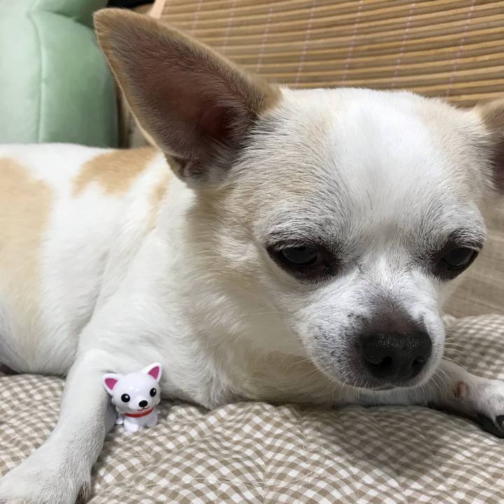 C51122b1 8ecb 4884 bc84 0f03c7feca15 1540687925644