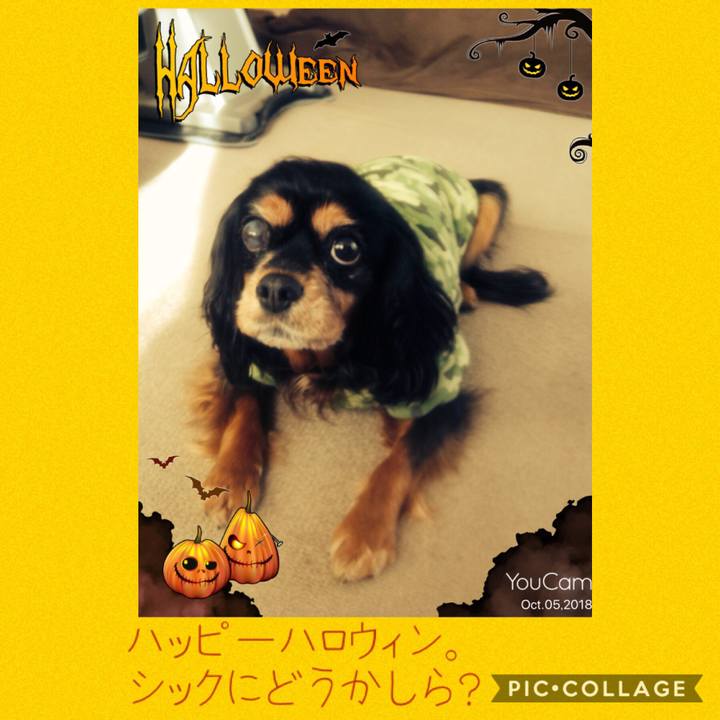 C5113b53 3c39 4306 a2f8 08eb3f073613 1540965970981