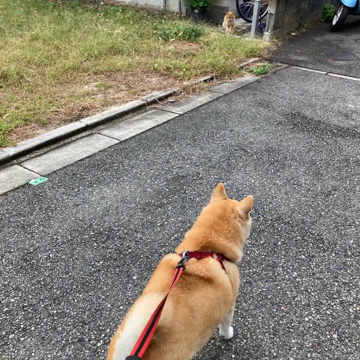 C51155b2 0b3b 4931 b2f1 2f9bdedfb44f 1634297626611