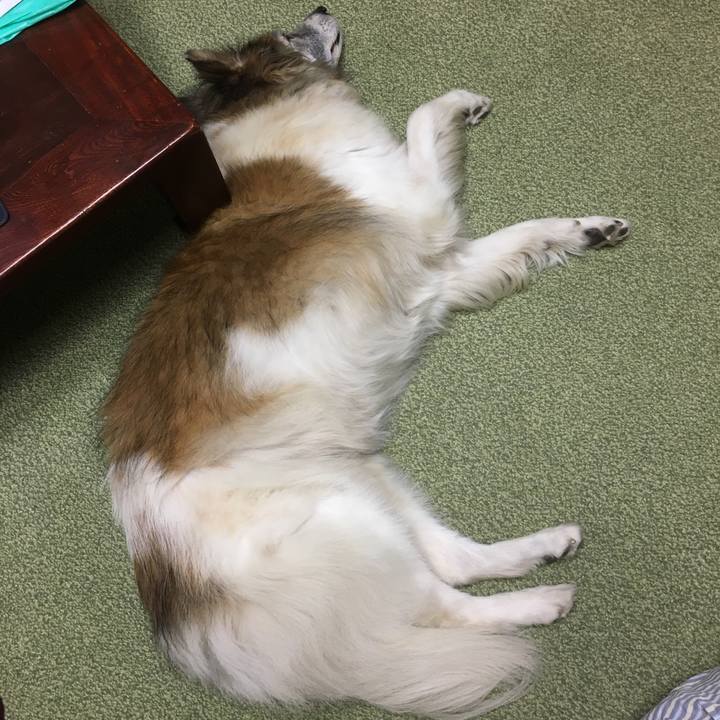 C5115b4e 2454 49f1 80d4 dcbb933b7b9a 1508766499560