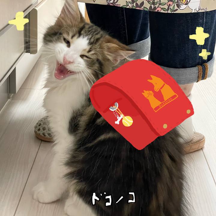 C511686a 8451 4ec8 87df d78b41f971fe 1744401232756