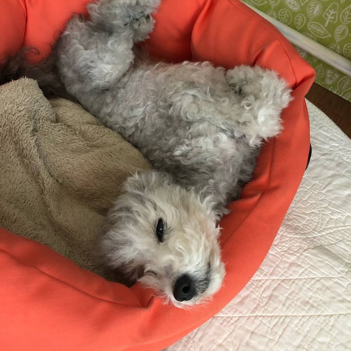 C511959b 560c 4d6d a181 f385af091e5a 1569552820757