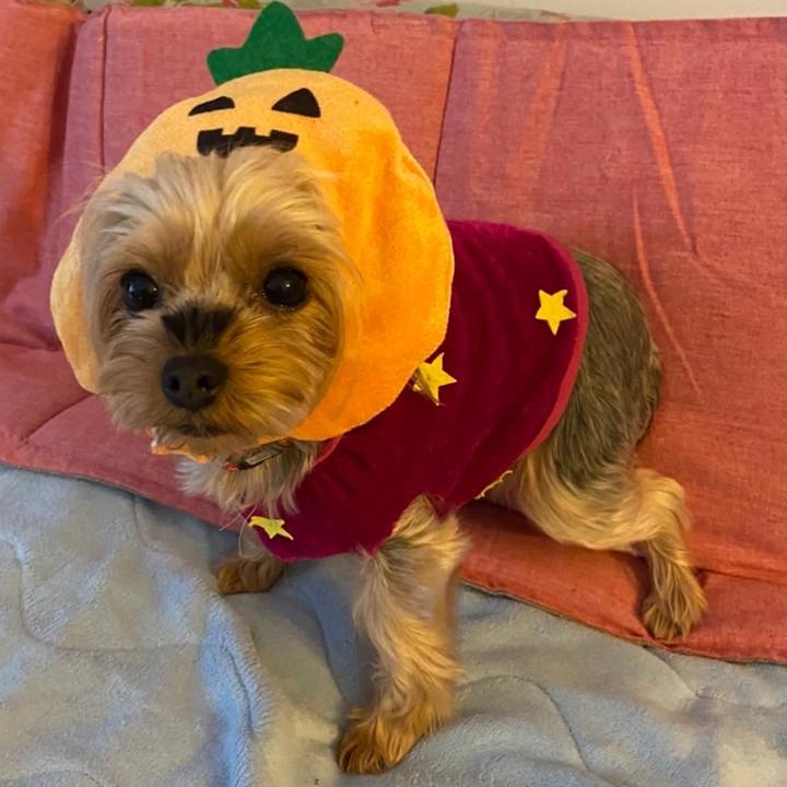 C511ad83 5a25 4949 a954 3a828e180af5 1667258457889