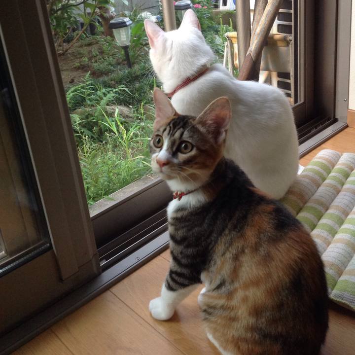 C511c0f0 e92f 4013 b0b7 aa91c5e97133 1630448334397