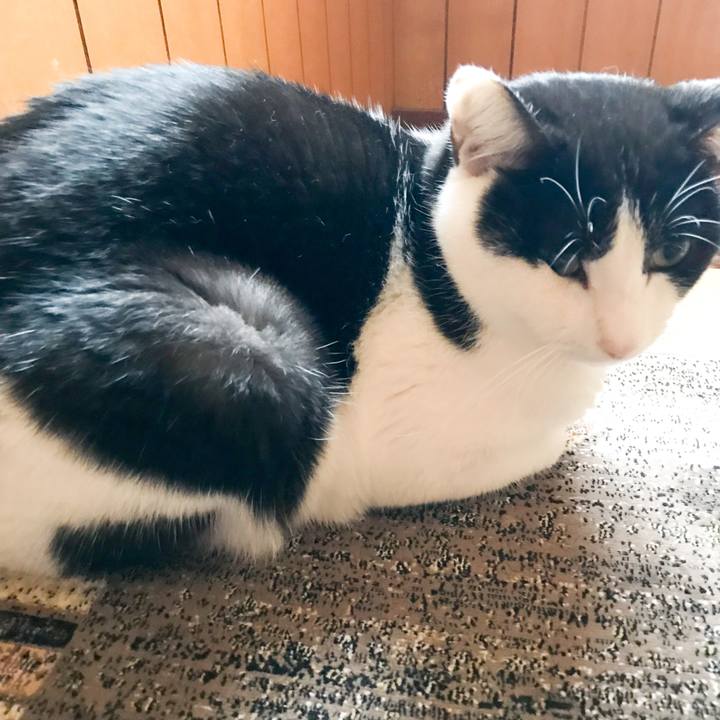 C511fc14 e3d6 4e08 8873 d68dd6b987c3 1512470251665