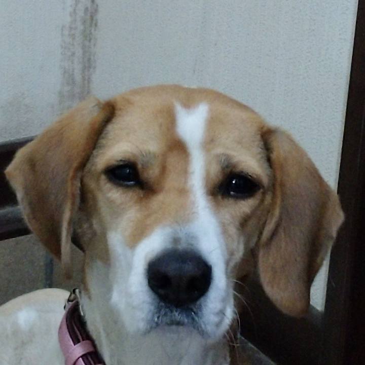 C5120e67 7cd5 48a1 b678 99fc558af278 1576584949224