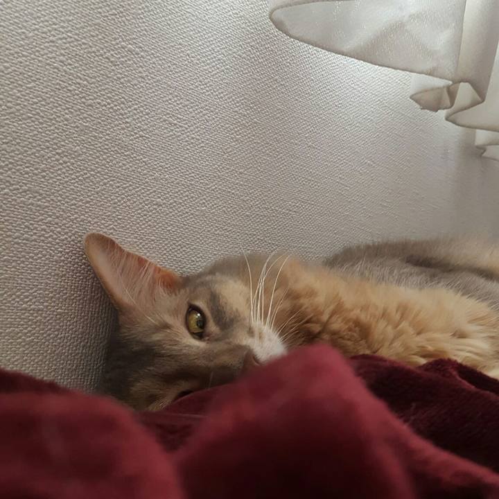 C5121259 f95d 425c bbb0 174f415b3908 1558260241378