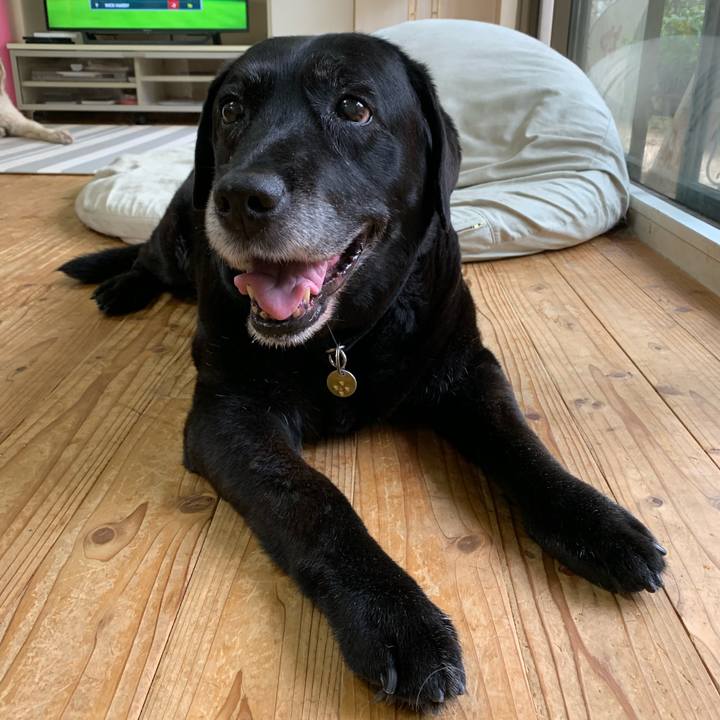 C51218b9 98ae 475b bdd8 79a41d3a4098 1592175081299