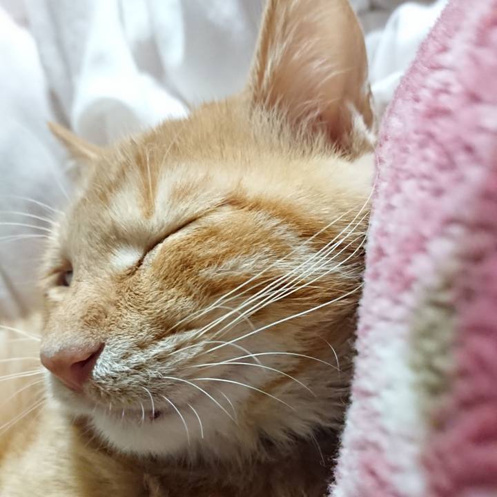 C5123536 e9f2 46d2 bc3a cccfd1fdb326 1634817767125