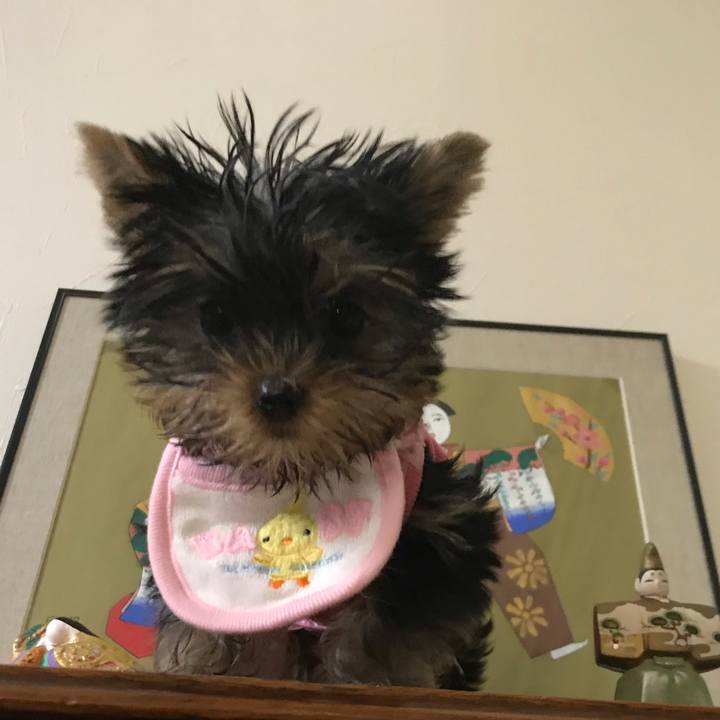 C5123653 c7a7 446b a77a 3af789b2b298 1614770406873